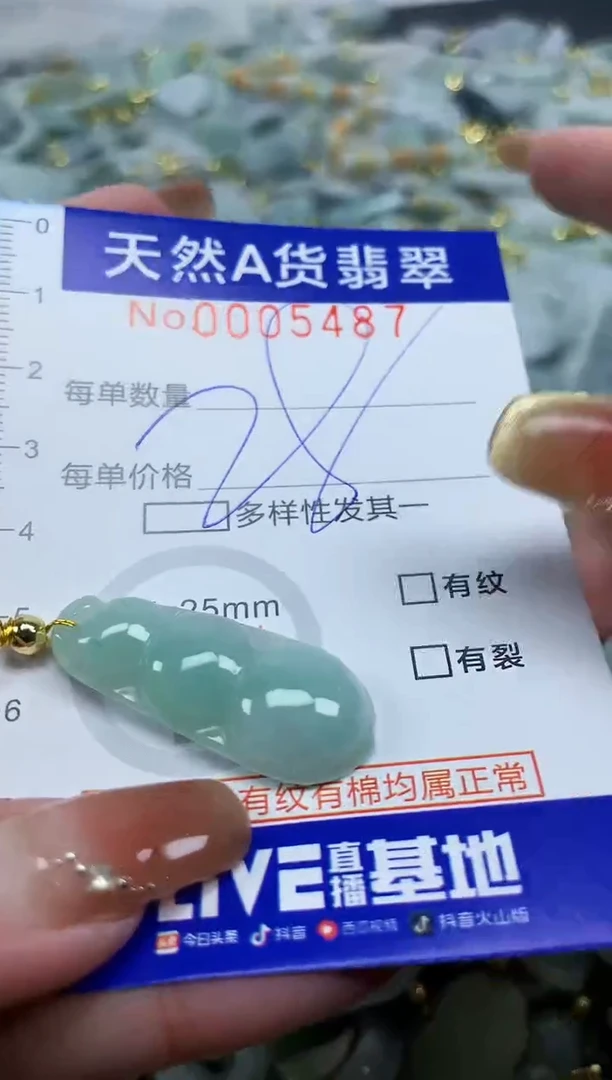 颈饰未镶嵌翡翠天然A货翡翠