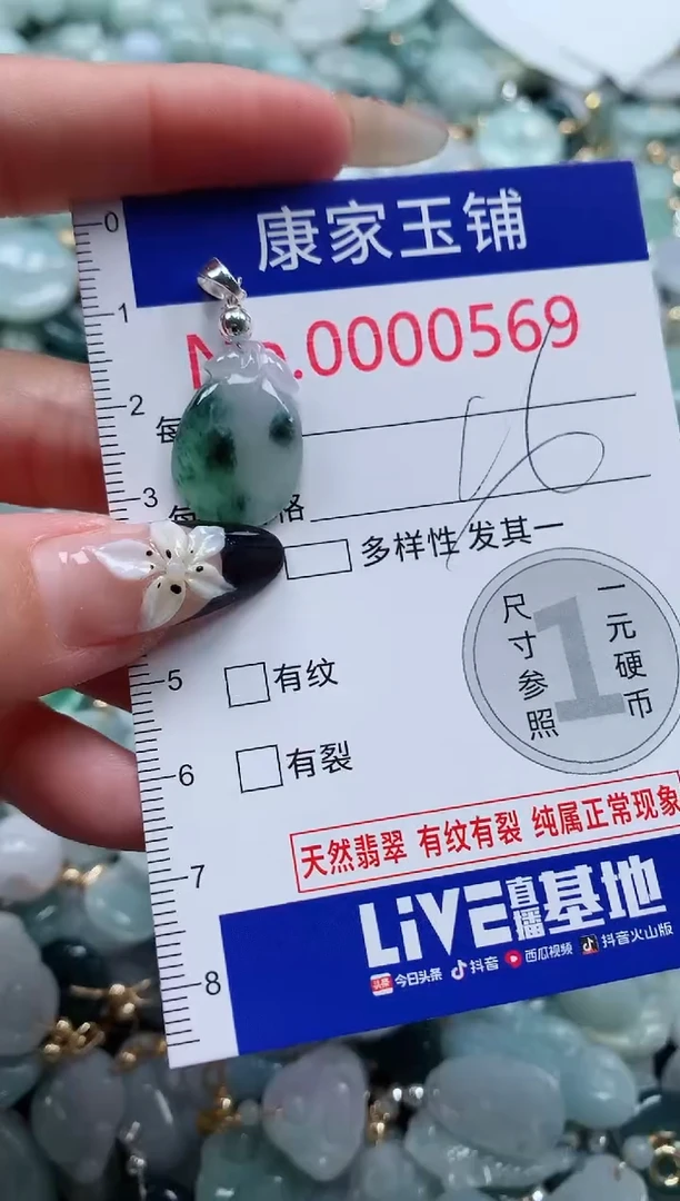 翡翠未镶嵌颈饰569