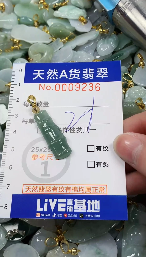 颈饰未镶嵌翡翠纯天然a货翡翠