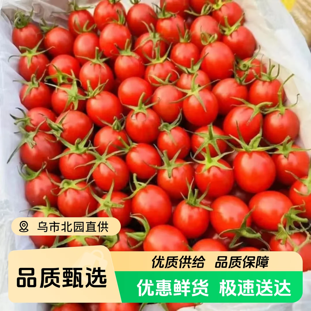 【海南千禧】海南陵水千禧圣女果小番茄一件毛重3.7公斤左右千禧圣女果海南省
