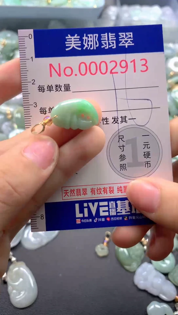 颈饰未镶嵌翡翠2913