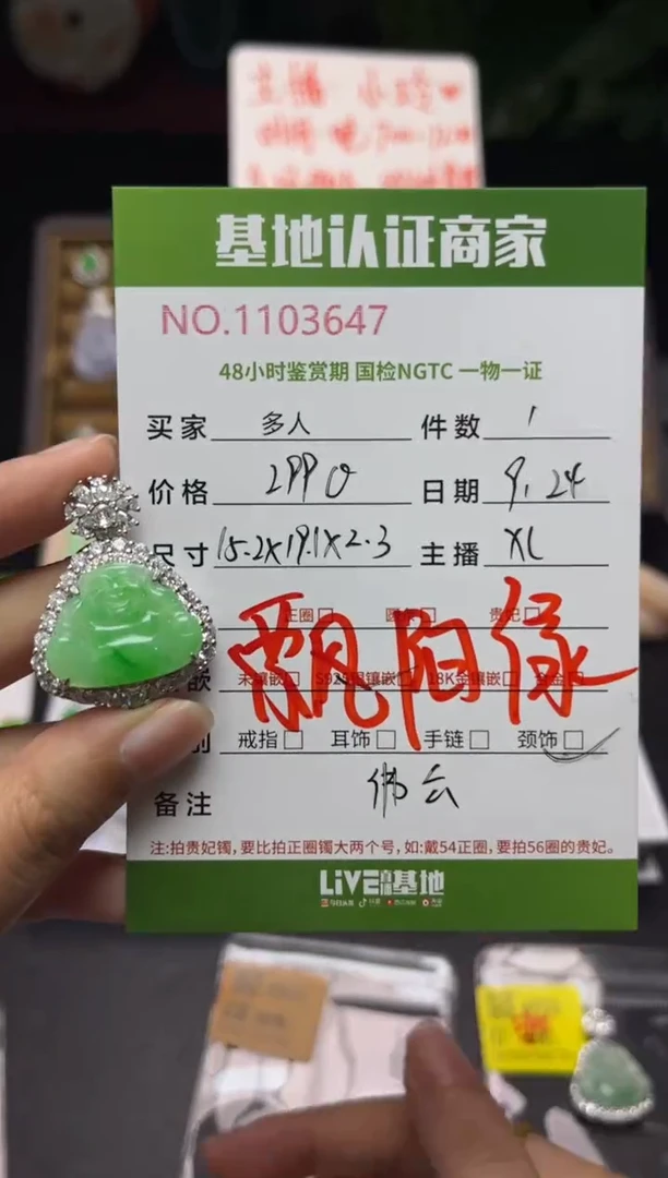 吊坠(不含链)银S925镶嵌翡翠多人