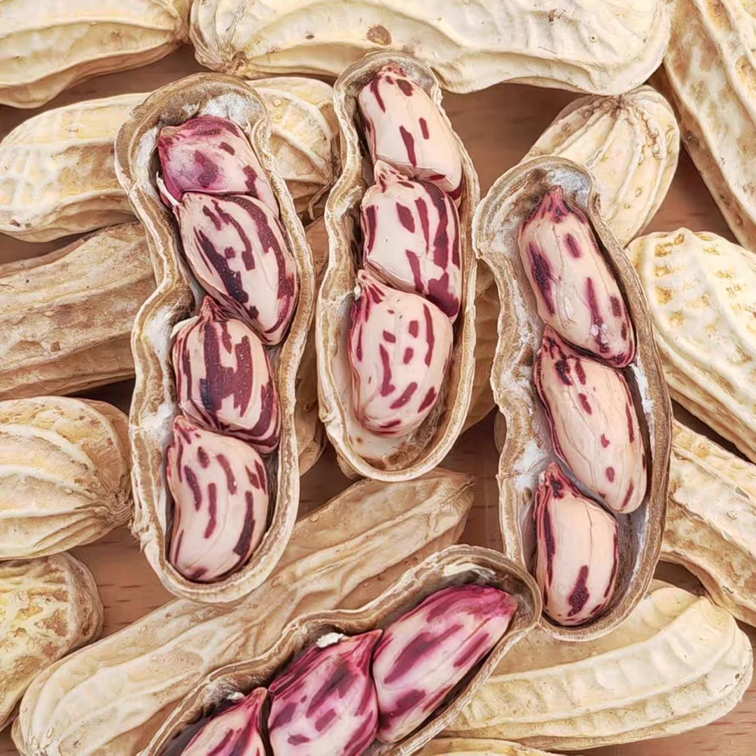 云南七彩花生 好吃