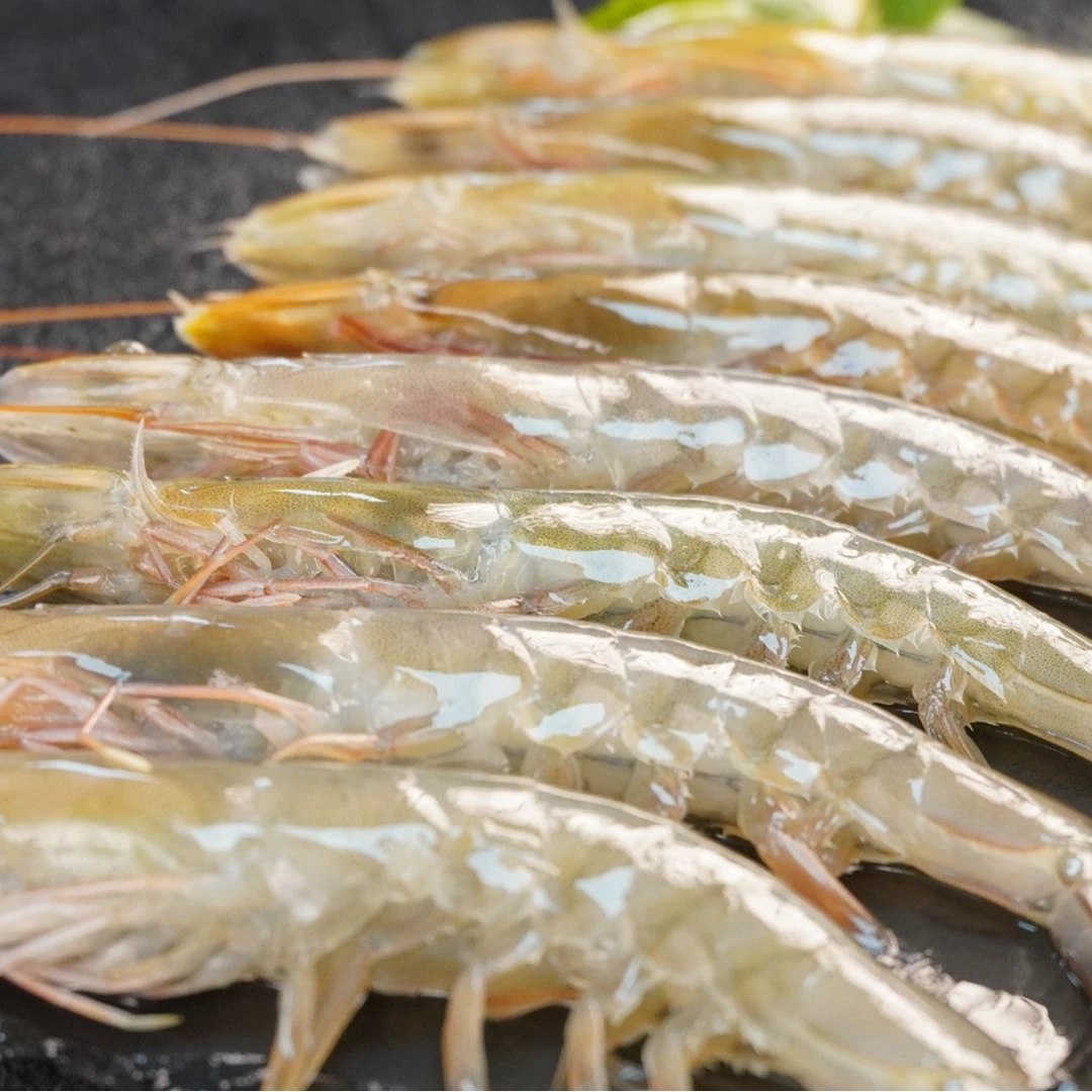15 - 18厘米左右大大号速冻海虾 南美白虾大虾新鲜美味