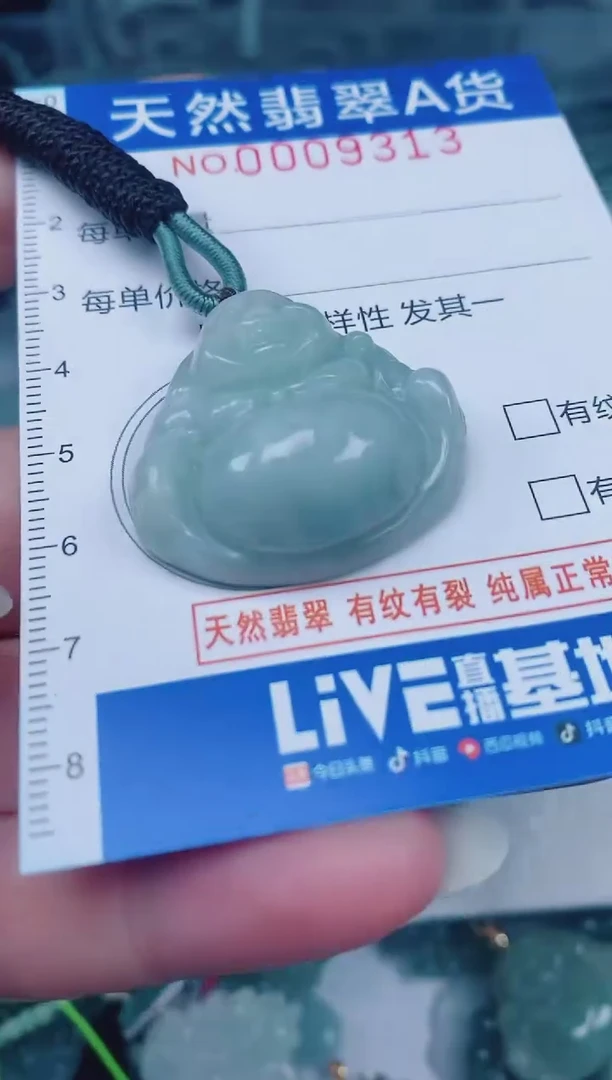 颈饰未镶嵌翡翠00009313