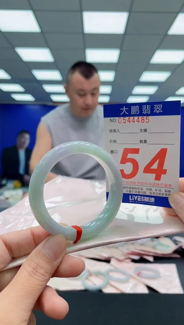 未镶嵌手镯翡翠AAAAAAAAA
