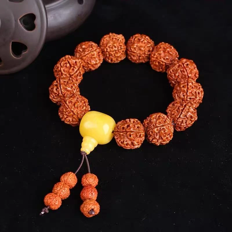 五瓣大金刚菩提-LQ840