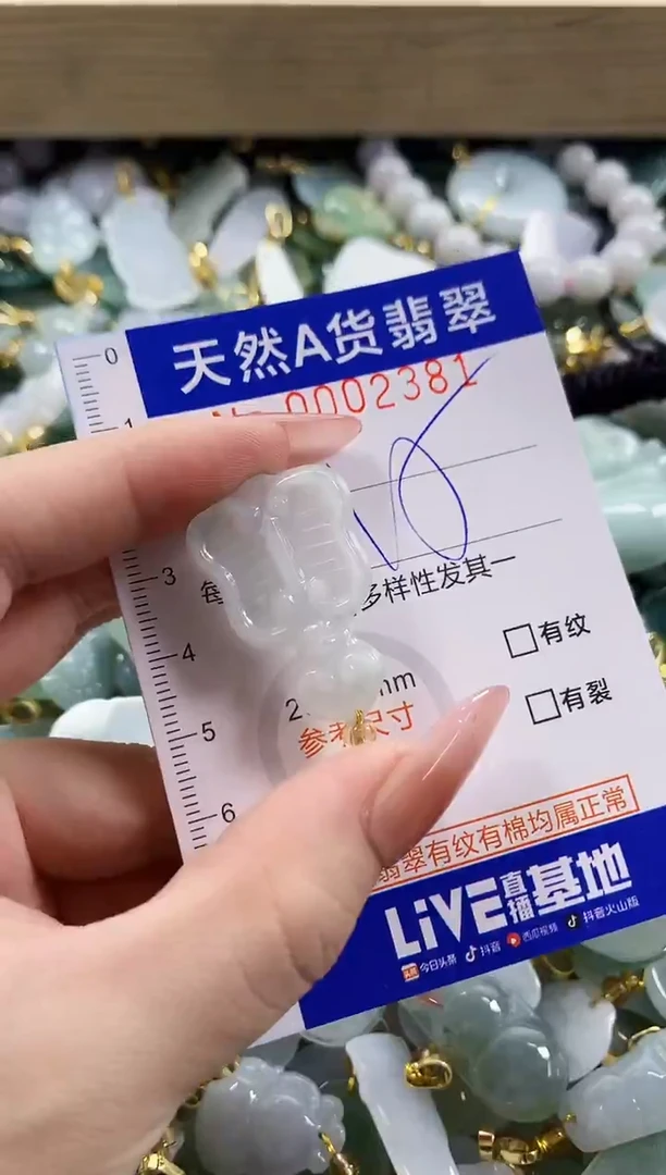 颈饰未镶嵌翡翠天然A货翡翠