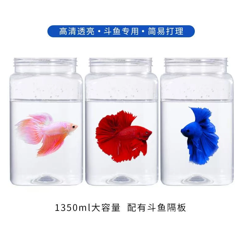 泰国观赏鱼罐子斗鱼1350方形高透鱼罐巨斗将军半月