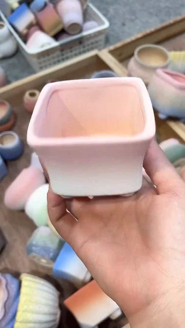 茵茵的欧气花园7*6