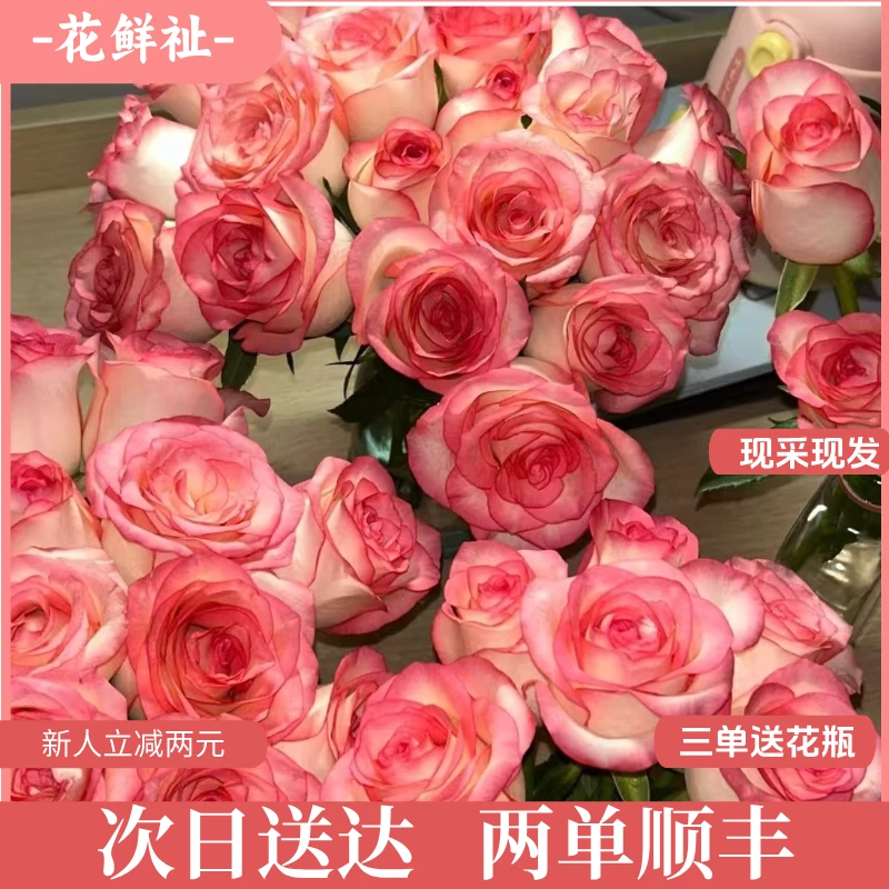 花鲜祉【艾莎10枝/束】全场任意两单顺丰包邮今日下单明日送达鲜花云南鲜花基地直发零售