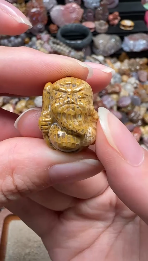 颈饰未镶嵌硅化珊瑚（珊瑚玉）542