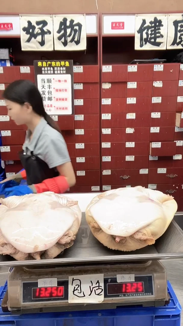 中国大陆甲鱼4个6斤.......