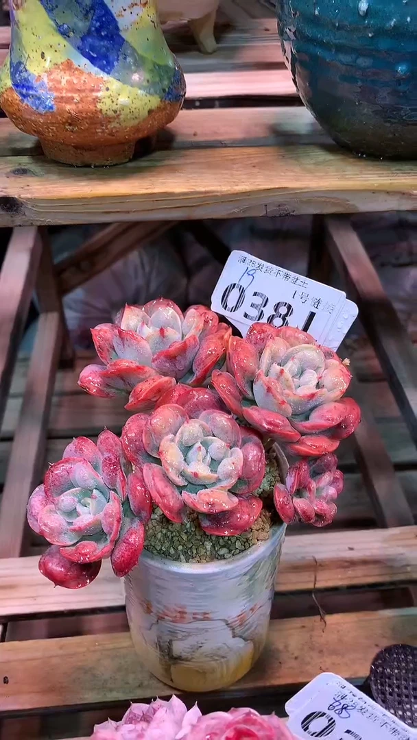 【闪购商品】038LLL