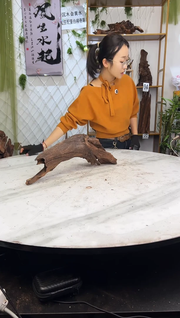 紫柚木沉木造景，会黄水，部分需泡沉