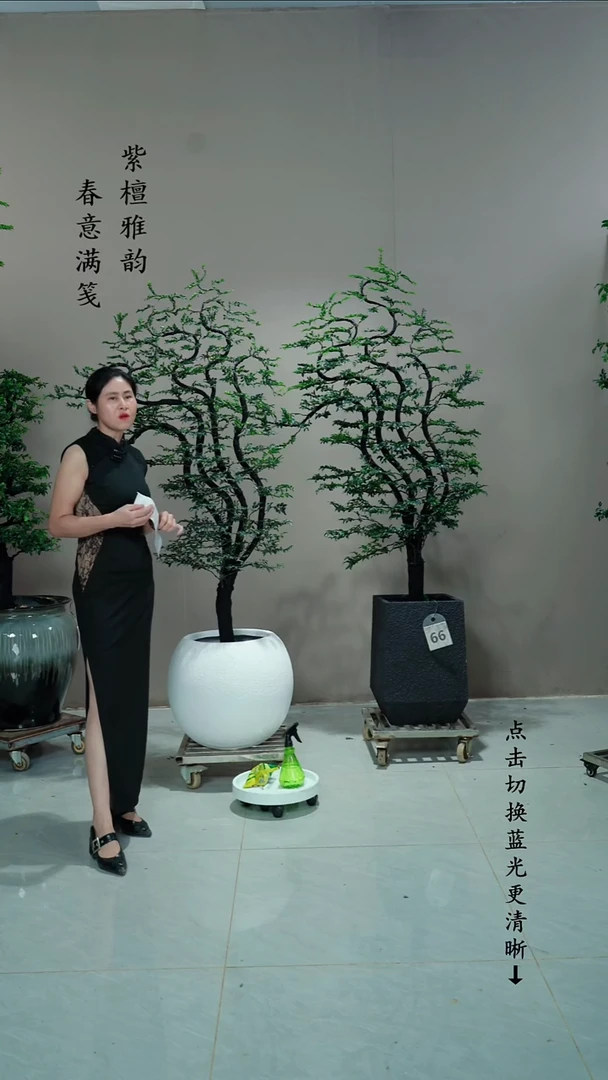 无花朵和*一对链接
