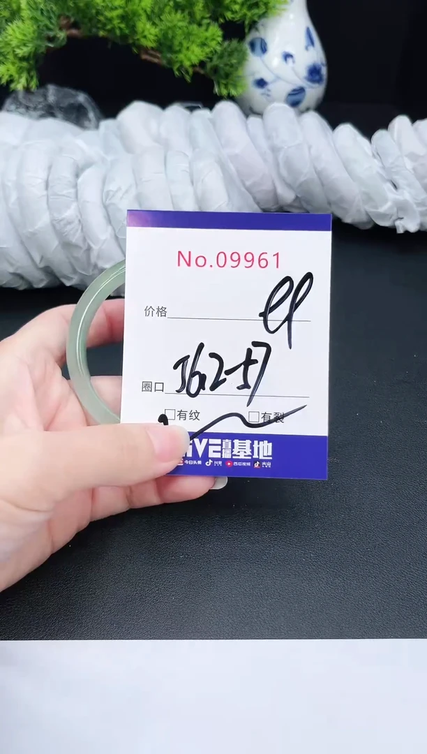 未镶嵌手镯翡翠9961