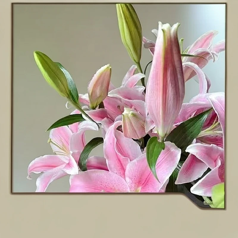 云南基地直发 索尔邦香水百合【网购鲜花需醒花　一单中通
