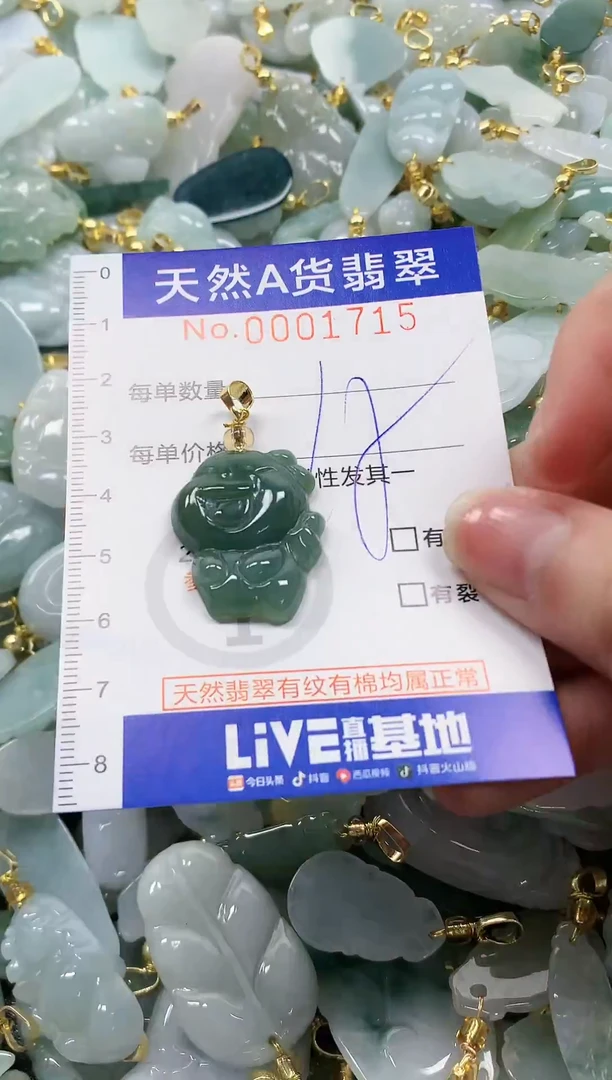 颈饰未镶嵌翡翠纯天然a货翡翠