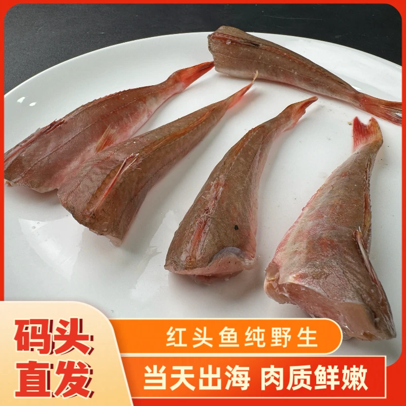 纯野生海捕小红头鱼去头去内脏小破鱼红娘鱼码头直供新鲜  4斤