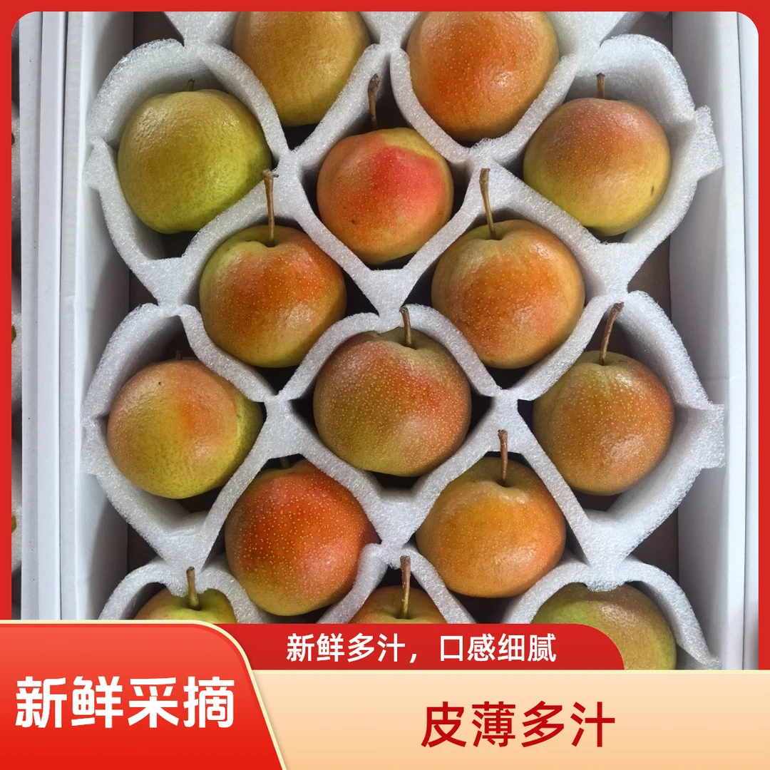 正宗鞍山南果梨软梨薄皮5斤特大果