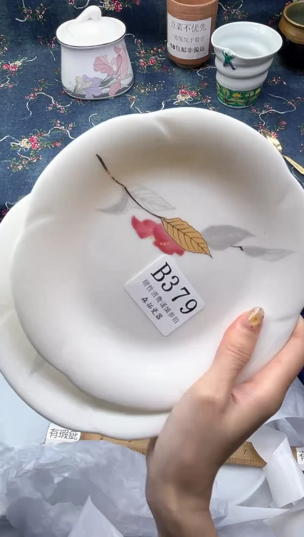 瓷片          B379