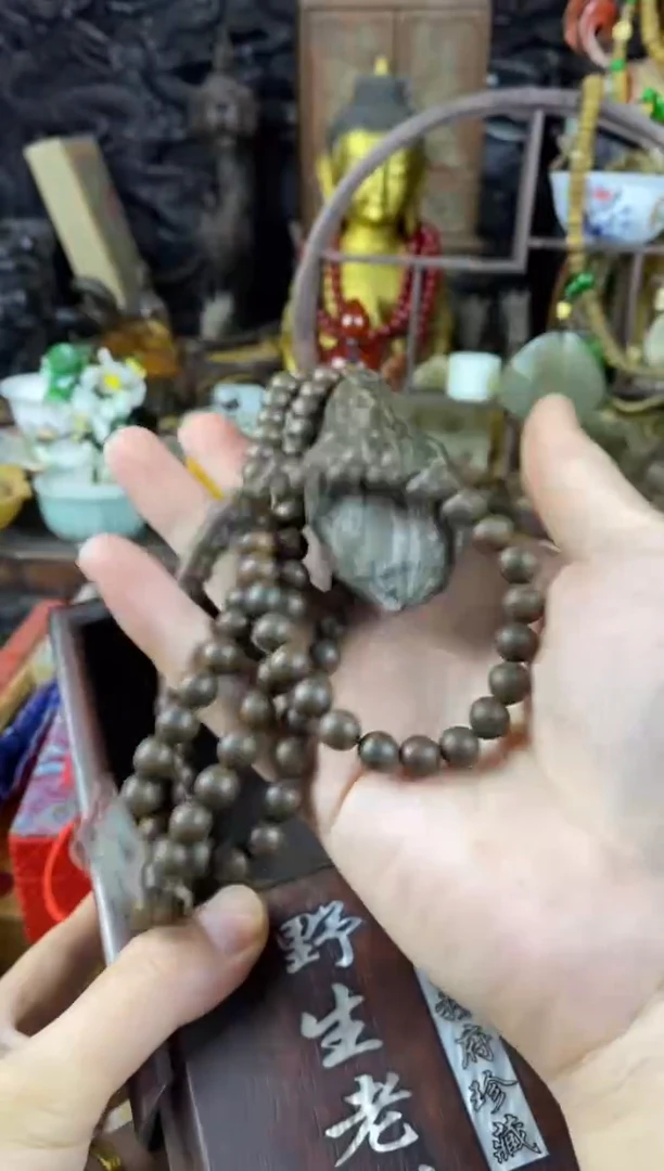 沉香碎屑沉香木虫带盒(收到货任何问题联系客服)