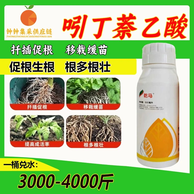 吲丁萘乙酸生根剂生根液生长调节剂壮根提高成活