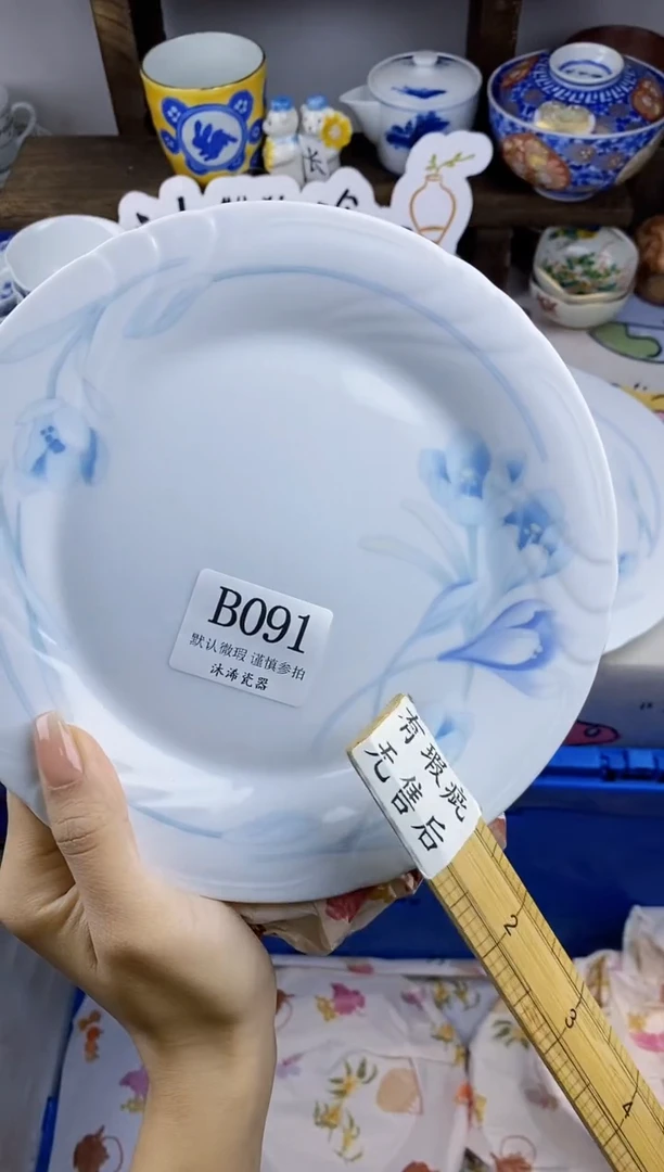 瓷片I****sB      091