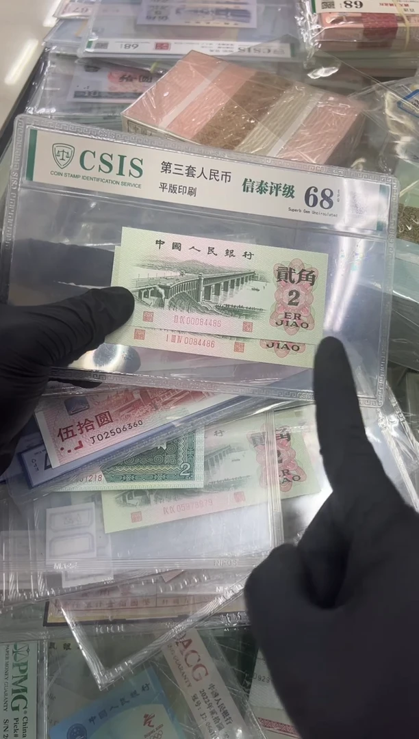 大桥双胞胎尾486。。。。。