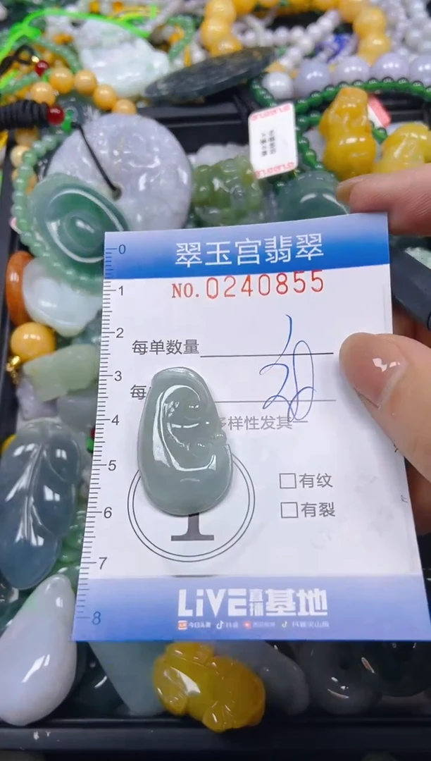 颈饰未镶嵌翡翠闪购C0240855