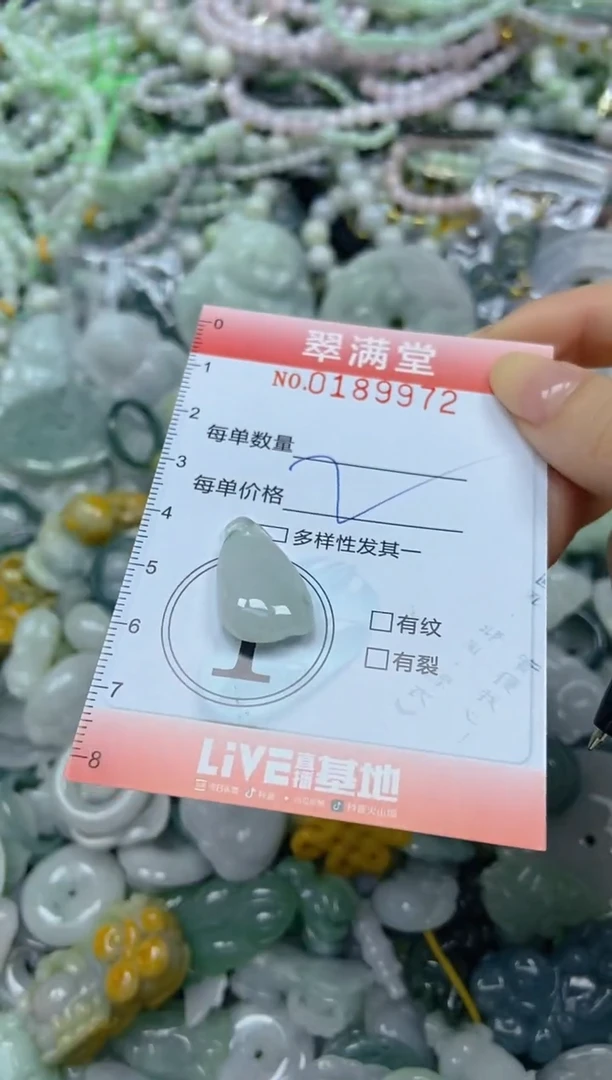颈饰未镶嵌翡翠闪购0189972