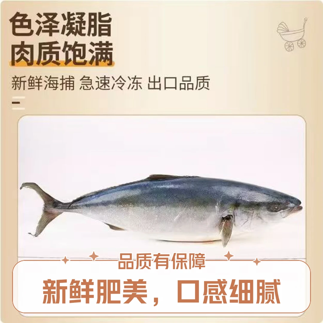 活冻鲅鱼4条4.5斤（每条1.1斤左右）