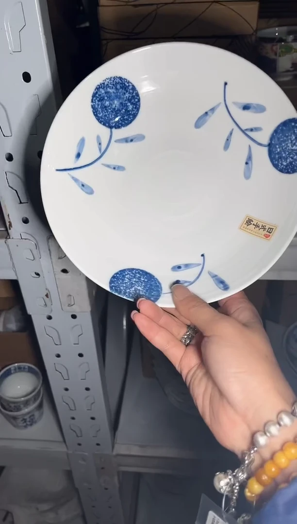 瓷        758号20*5