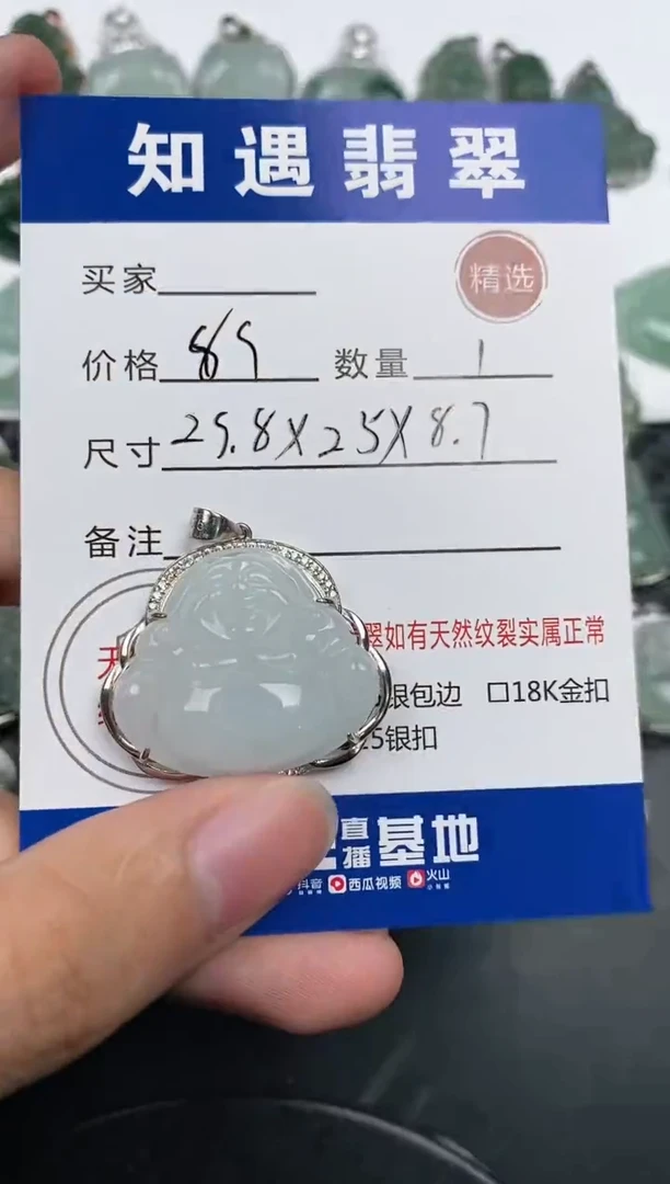 颈饰银S925镶嵌翡翠挂件