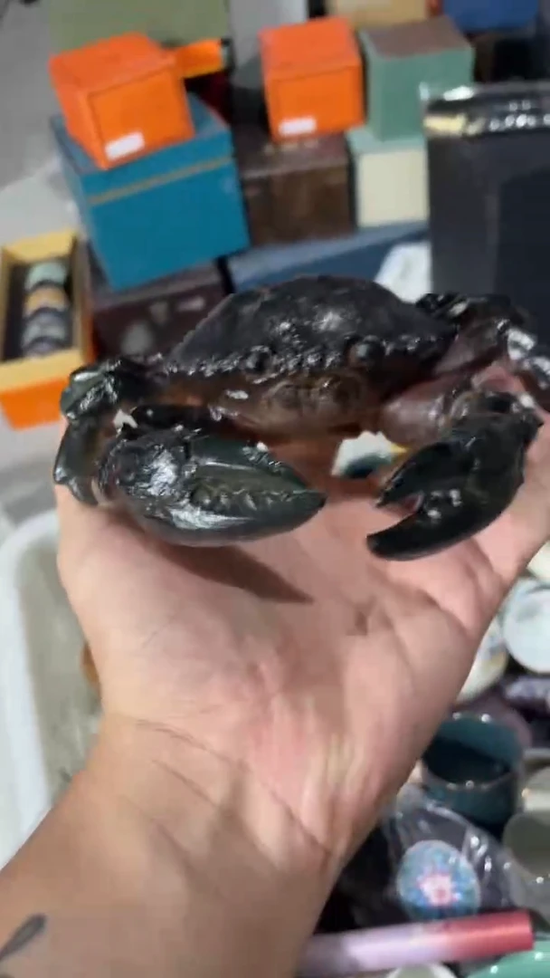 新号开播 福利多多！！！