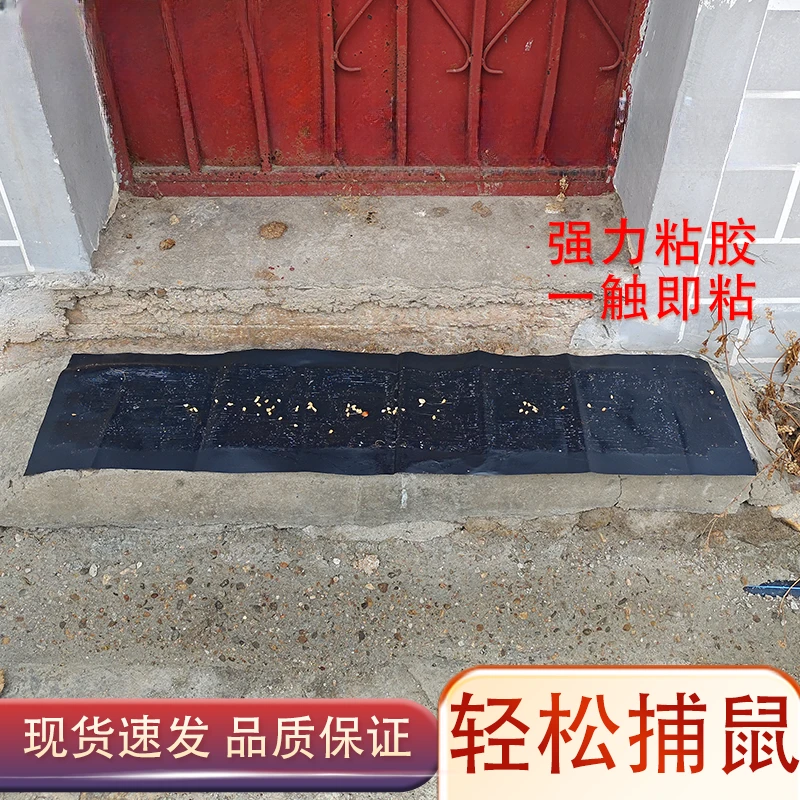 老鼠贴强力粘鼠板超大号强力胶粘大老鼠捕鼠神器粘鼠板魔毯抓灭鼠