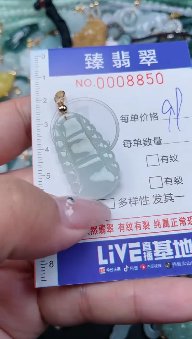 翡翠未镶嵌颈饰.0008850