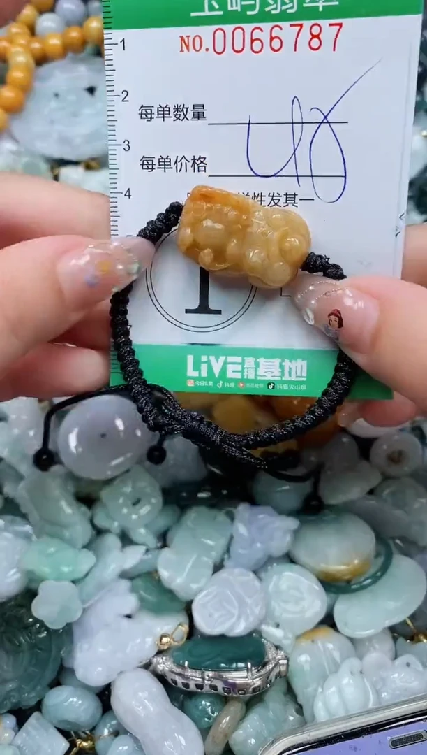 【闪购商品】翡翠颈饰未镶嵌闪购0066787