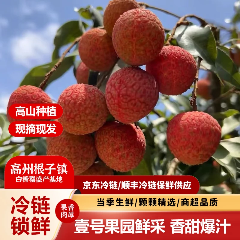 香甜荔枝新鲜荔枝正宗白糖罂整箱当季生鲜水果发京东特快-空运