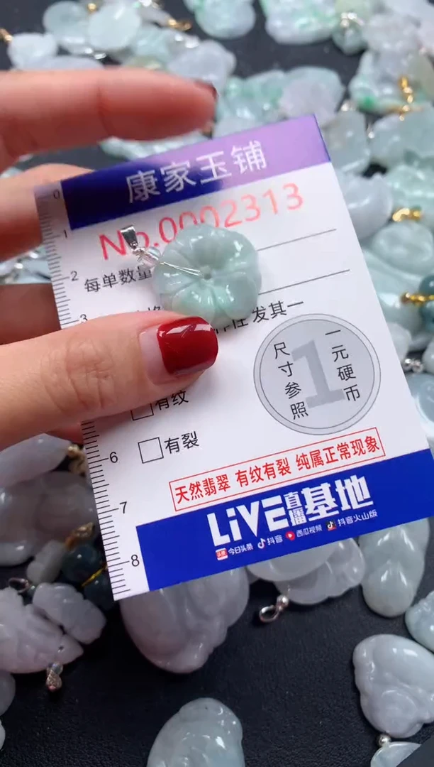 颈饰未镶嵌翡翠2313