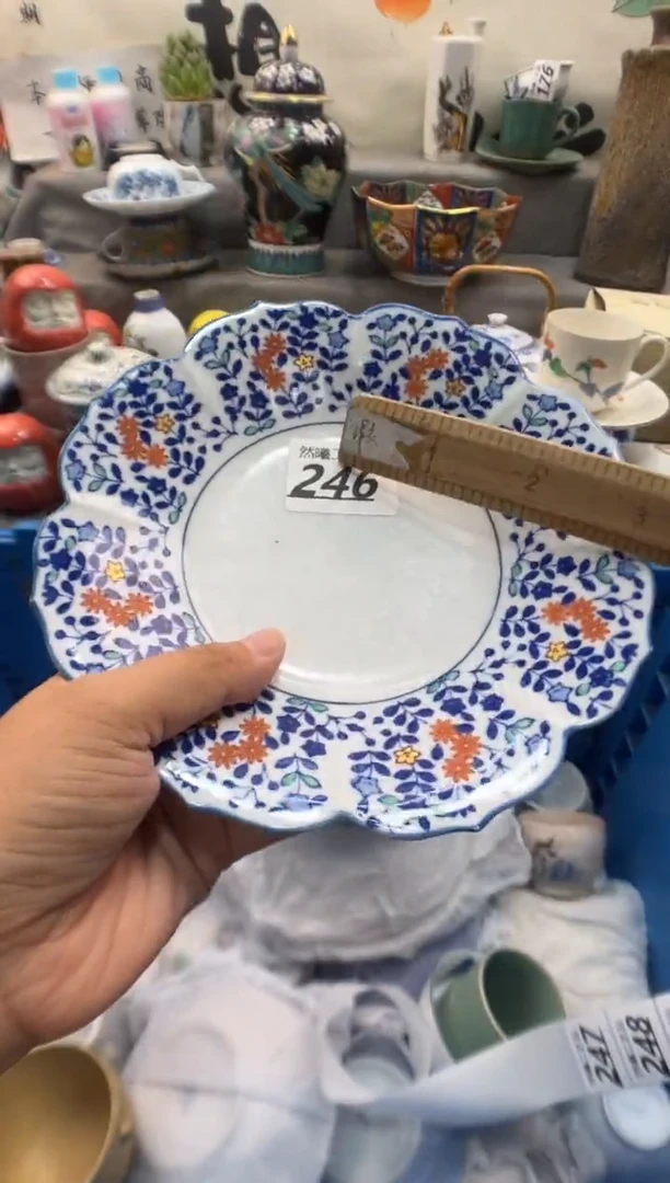 瓷片兰*豆246