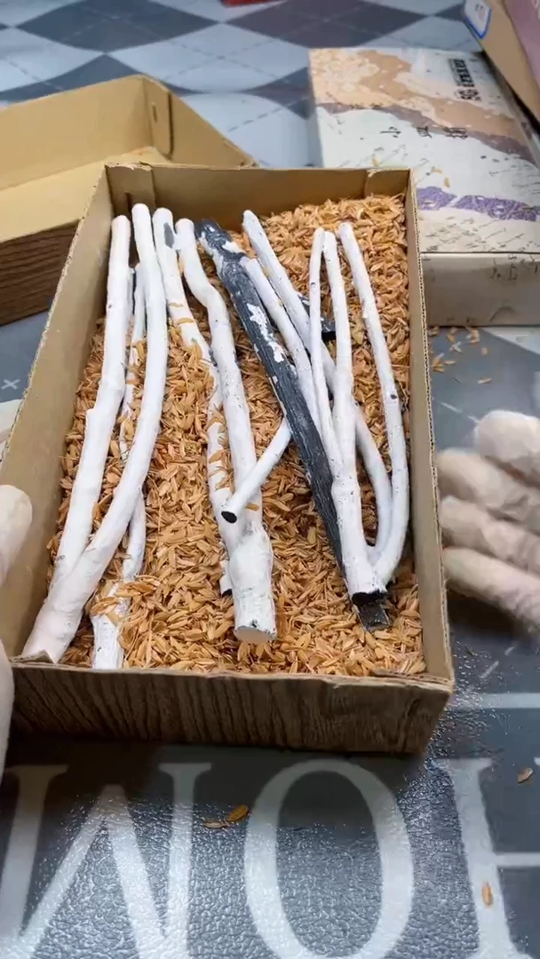瓷片陶瓷如图所示周边