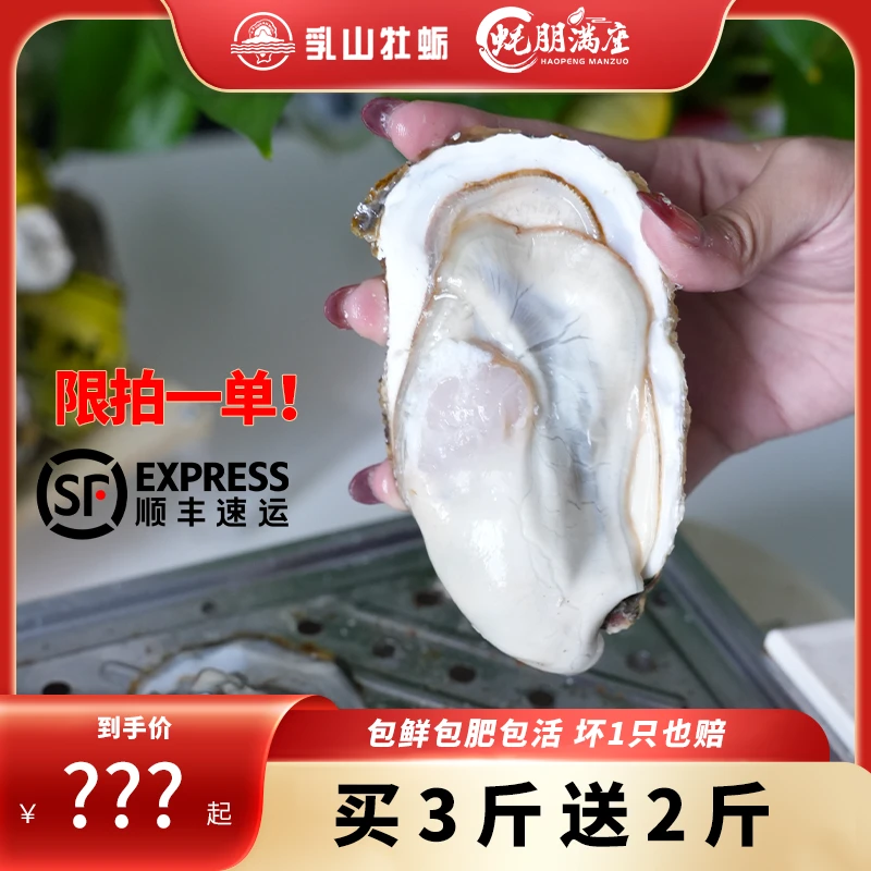 【限1单！买3斤送2斤】蚝朋满座乳山生蚝新鲜活海鲜特大海蛎顺丰5斤