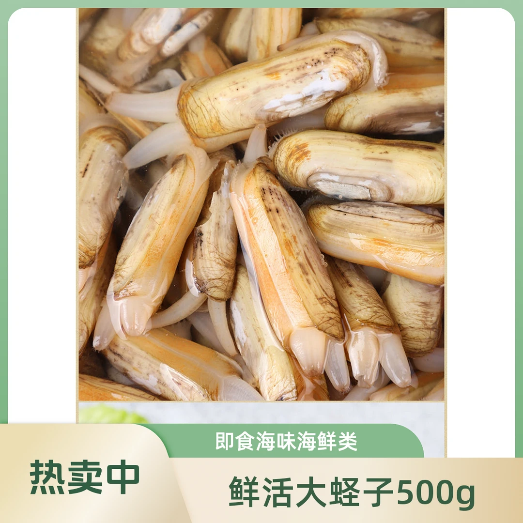 鲜活大蛏子500g