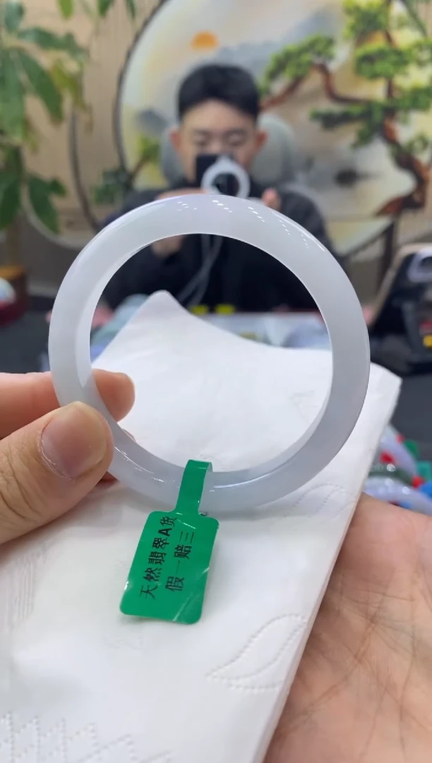 未镶嵌手镯翡翠0176