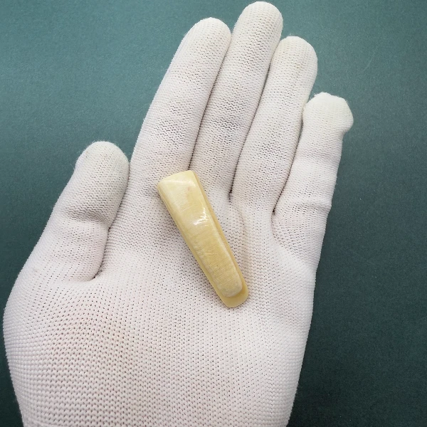 E6240天然猛犸牙牙尖 支持鉴定 假一罚四