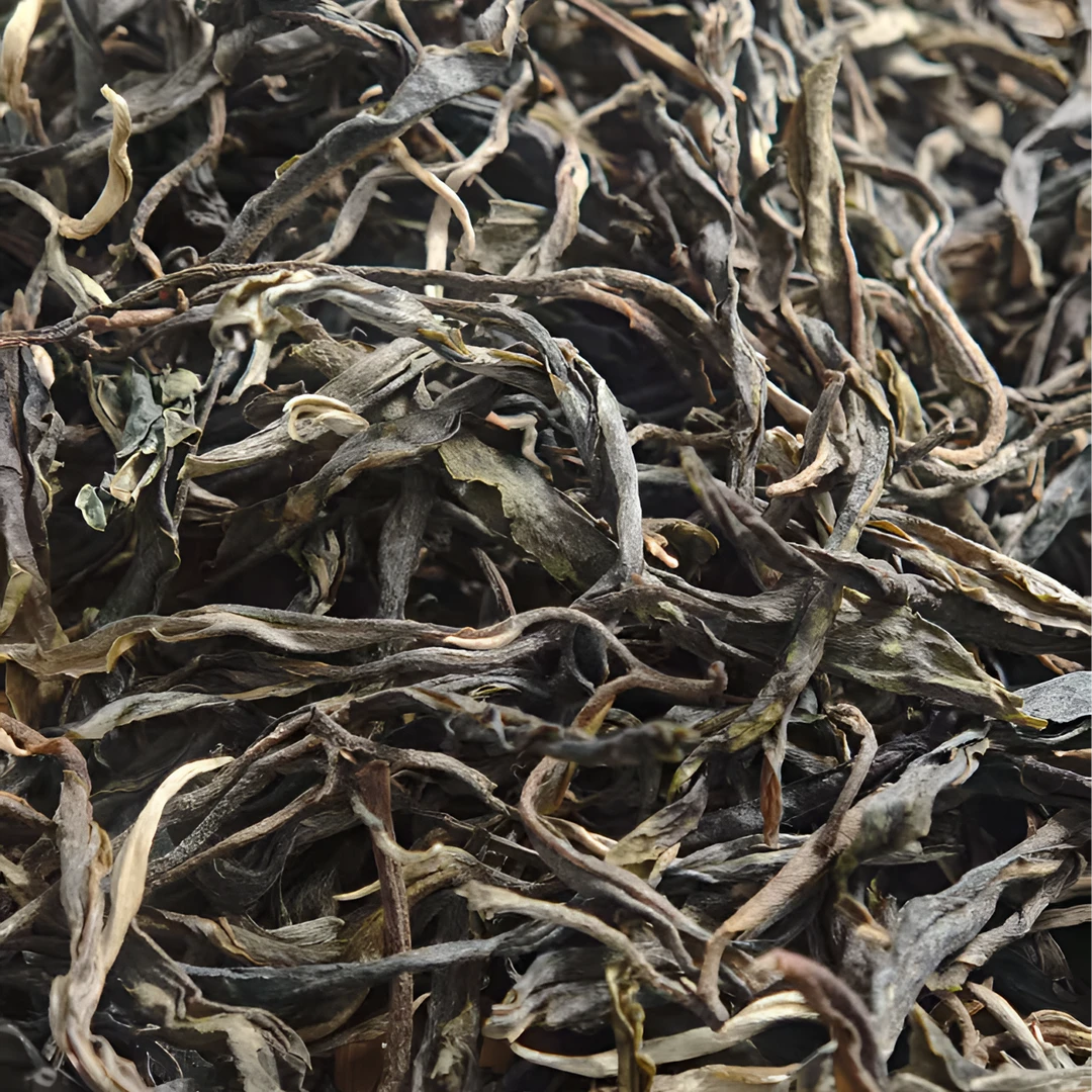 2021年 正气塘散茶 普洱茶 生茶