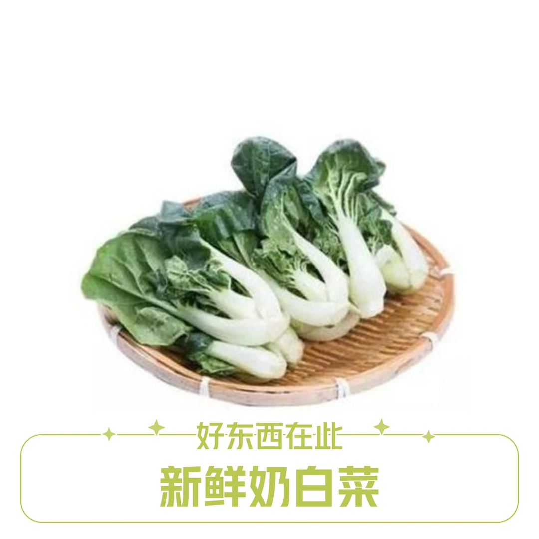 新鲜奶白菜 约500g【好东西】