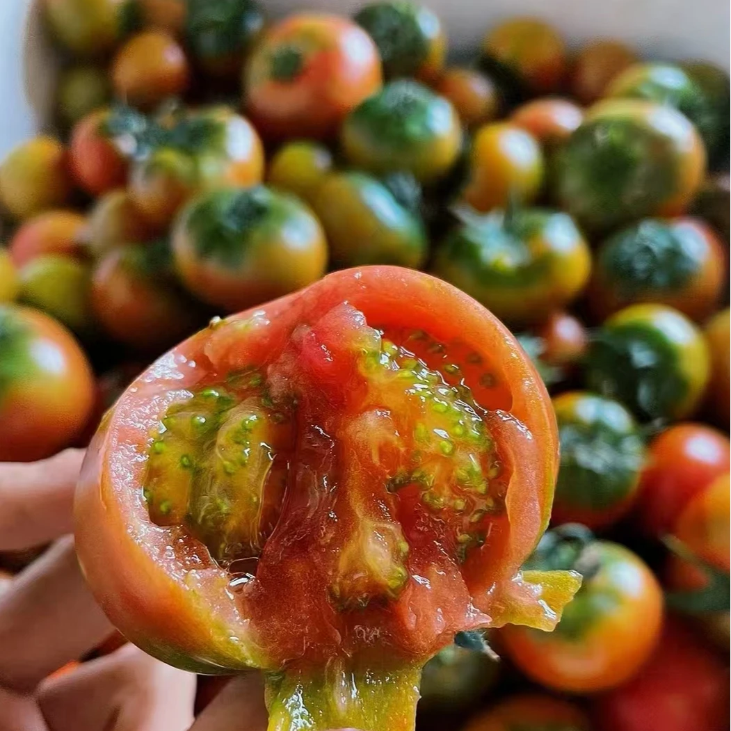 草莓 柿子（原箱约4.5斤左右）草莓番茄